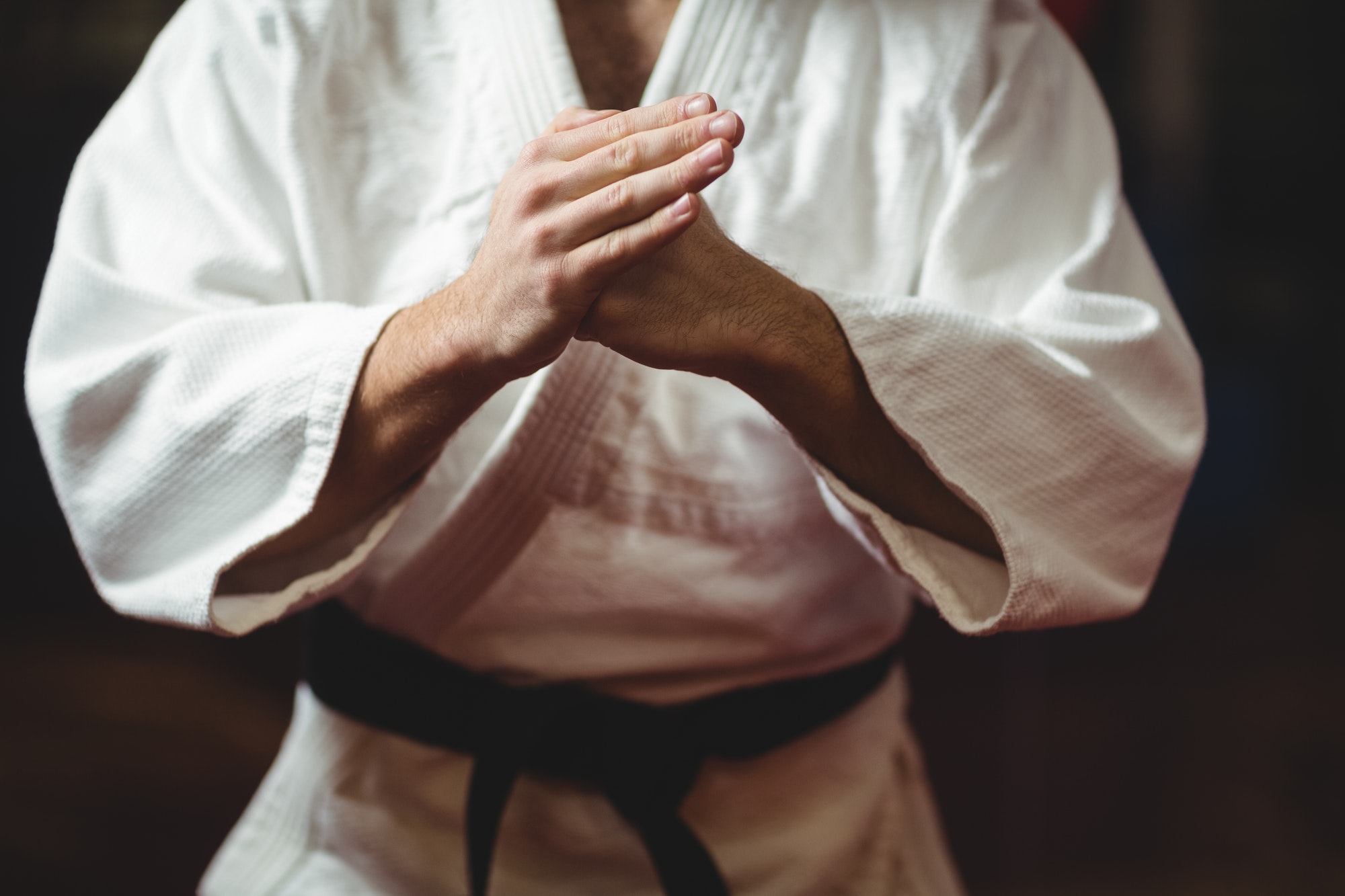 karate-player-performing-karate-stance.jpg
